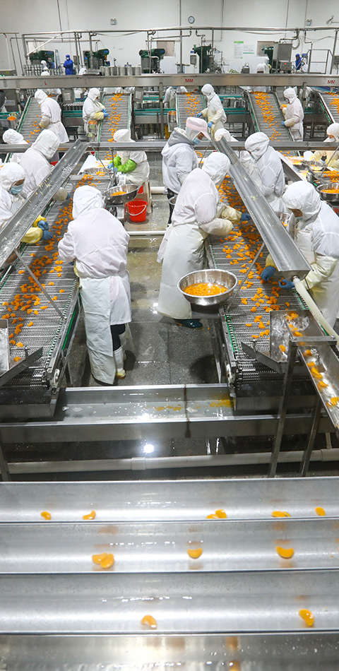 生產許可證咨詢